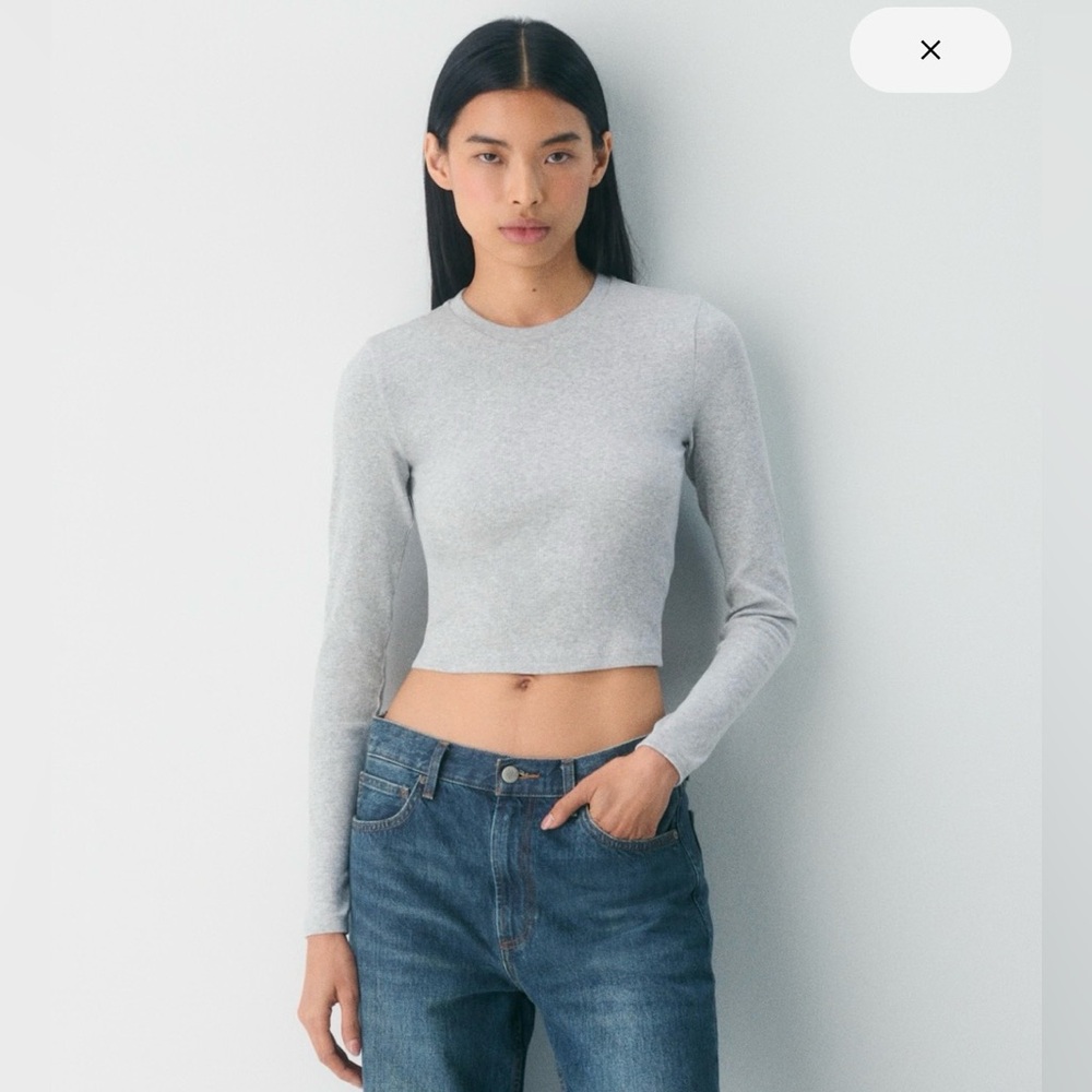 Aritzia Light Gray Long Sleeve Crop Top